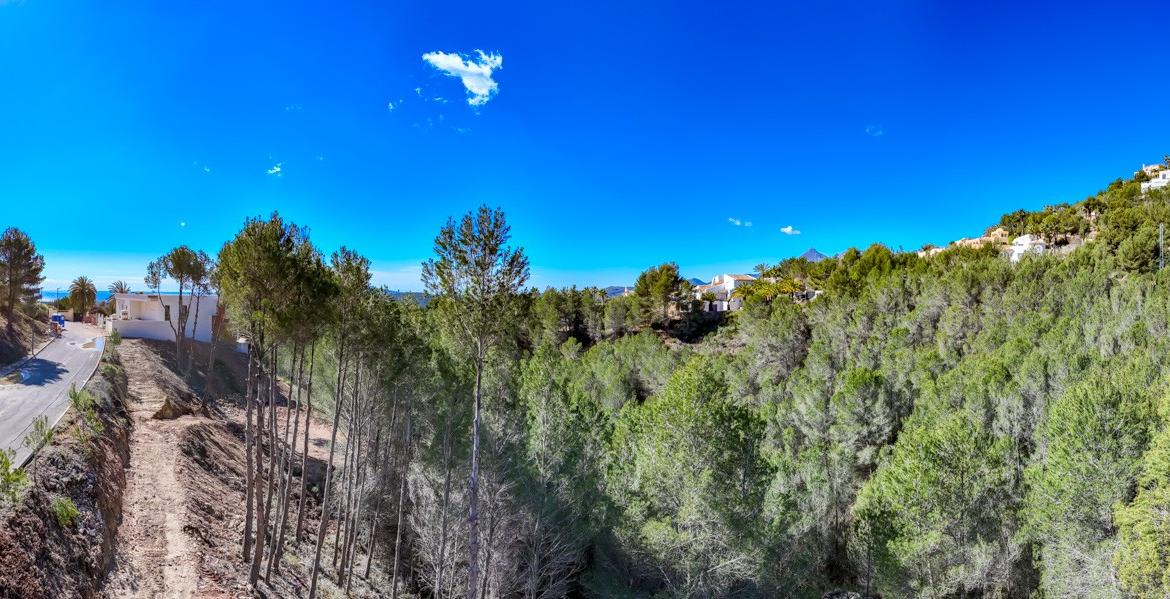 Plot in Altea