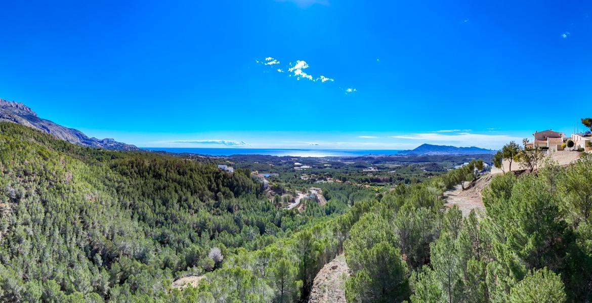 Plot in Altea