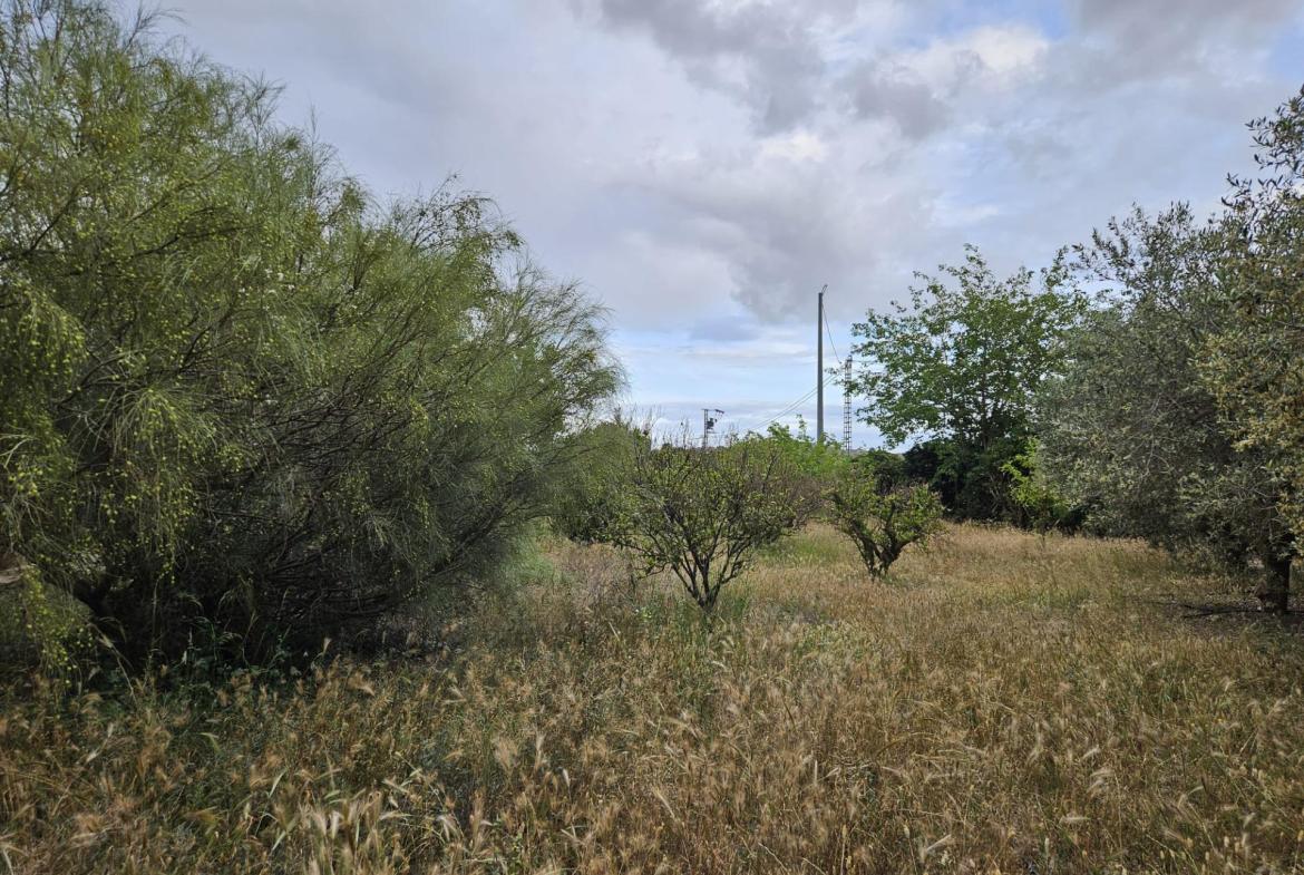 Country house with 3 bedrooms and 2 bathrooms in ASPE | Ref: SCH-5192