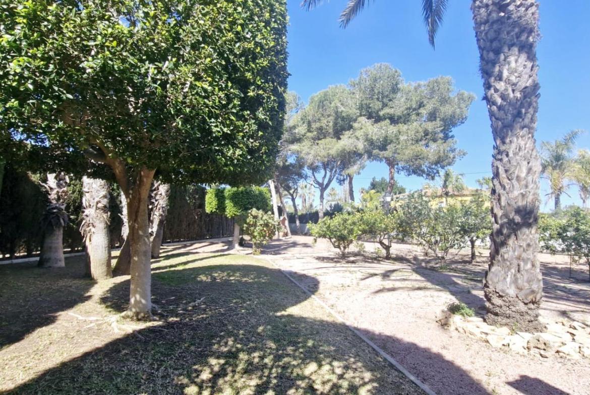 Country house with 6 bedrooms and 4 bathrooms in ELCHE | Ref: SCH-5193