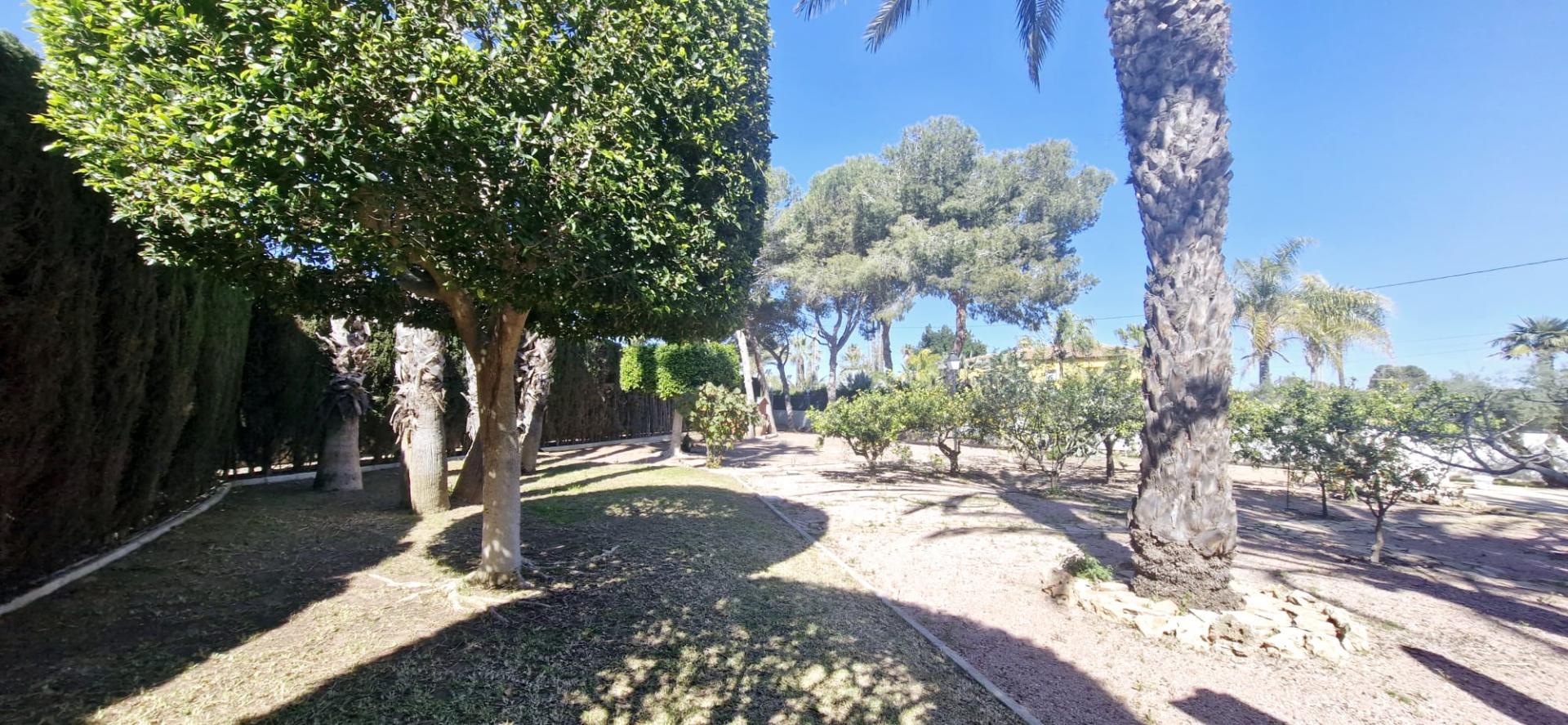 17491385435-6.jpg Country house with 6 bedrooms and 4 bathrooms in ELCHE | Ref: SCH-5193