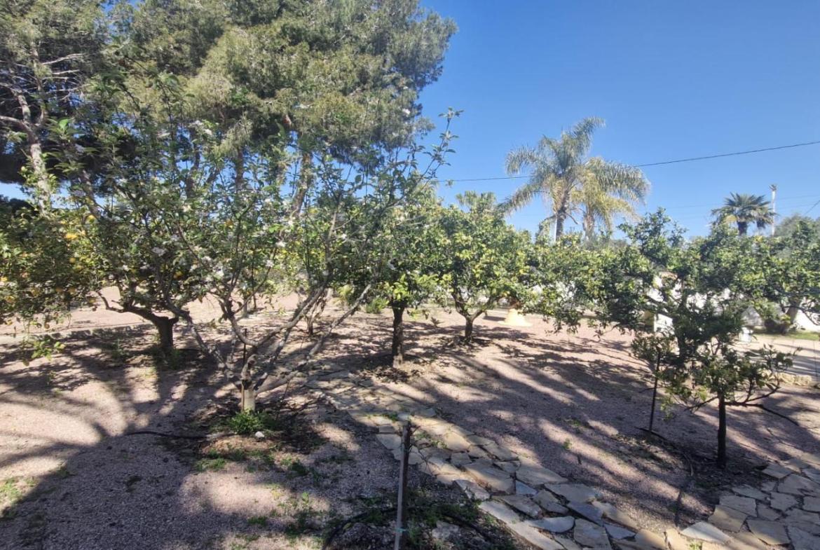 Country house with 6 bedrooms and 4 bathrooms in ELCHE | Ref: SCH-5193