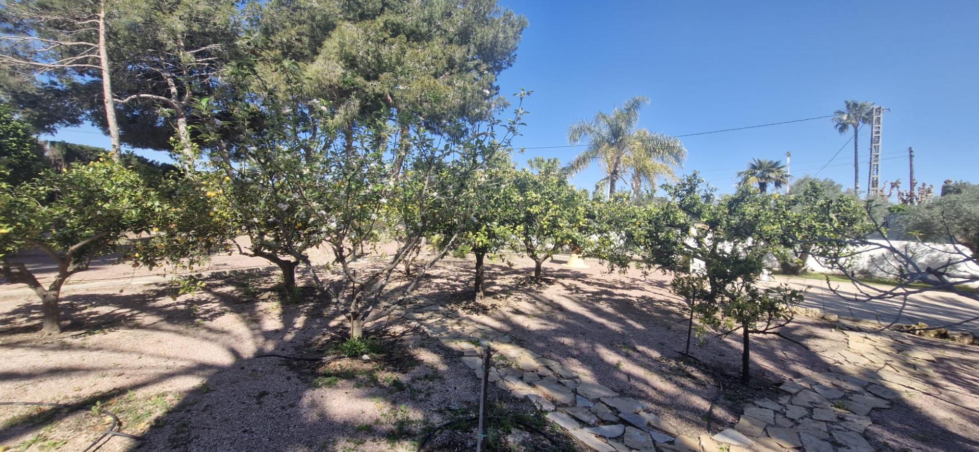 17491385437-8.jpg Country house with 6 bedrooms and 4 bathrooms in ELCHE | Ref: SCH-5193