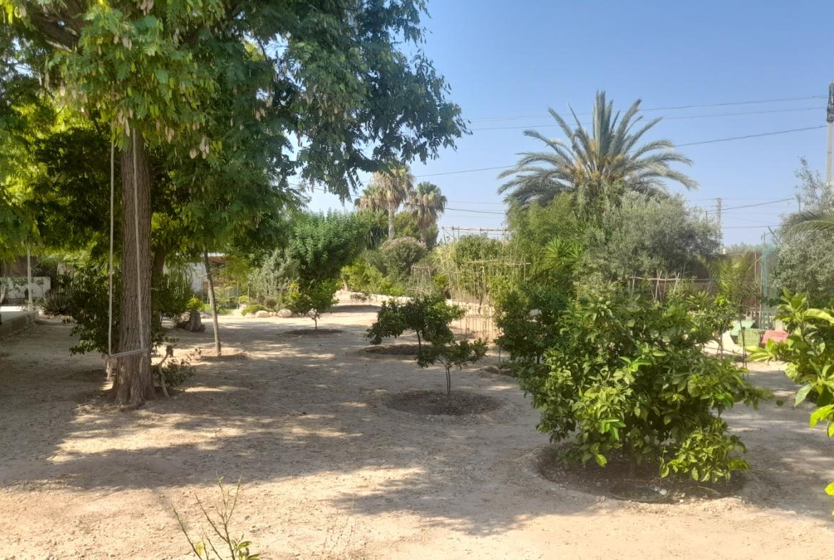 Country house with 3 bedrooms and 2 bathrooms in CREVILLENTE | Ref: SCH-5230
