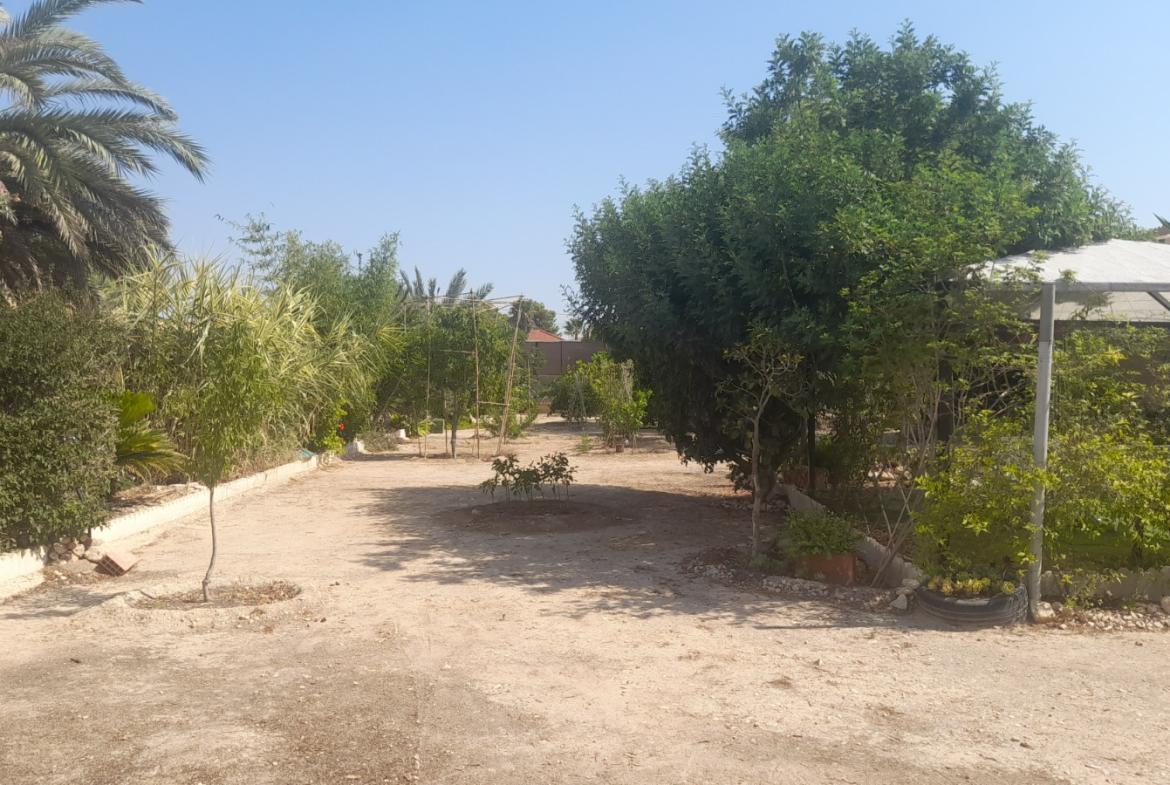 Country house with 3 bedrooms and 2 bathrooms in CREVILLENTE | Ref: SCH-5230