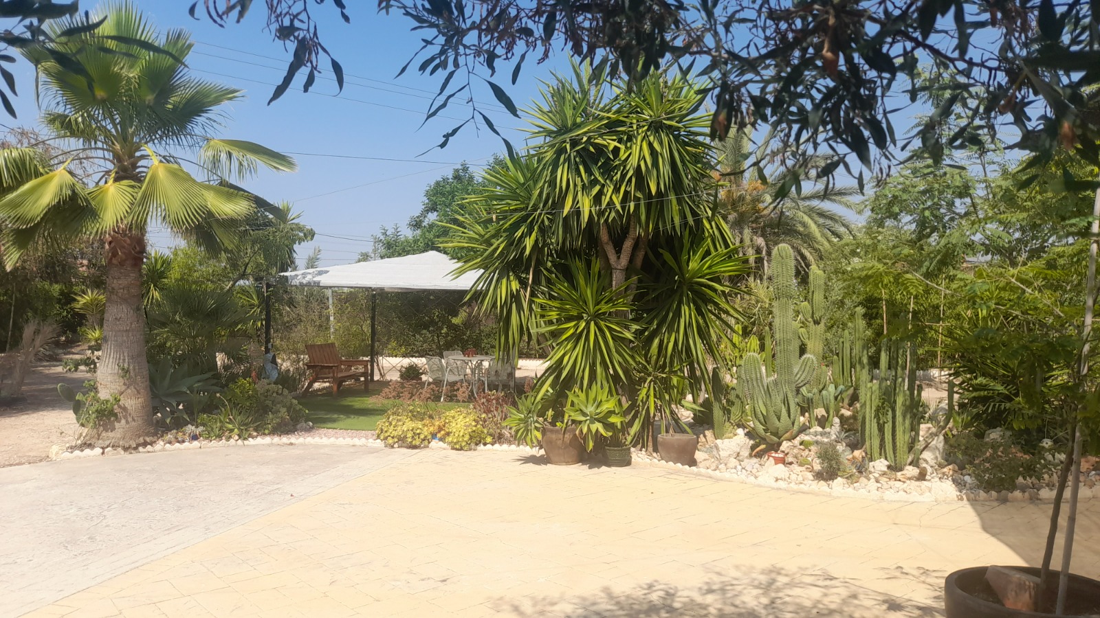 Country house with 3 bedrooms and 2 bathrooms in CREVILLENTE | Ref: SCH-5230