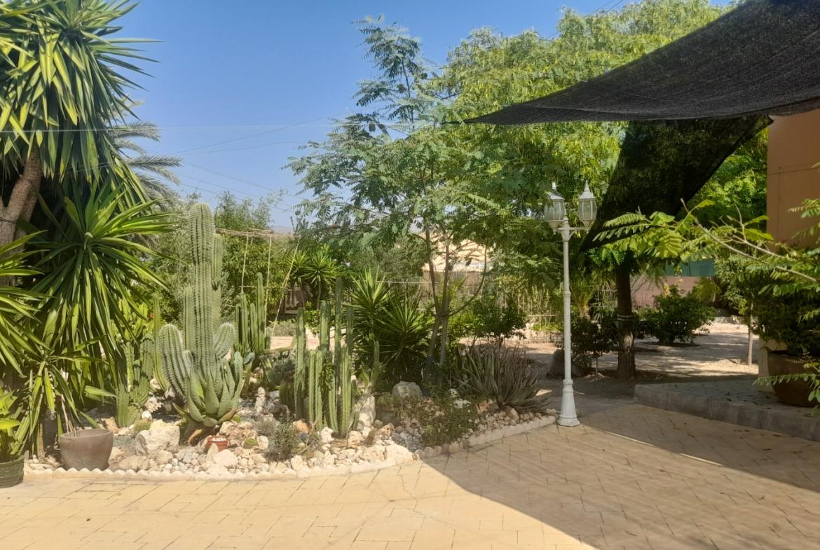 Country house with 3 bedrooms and 2 bathrooms in CREVILLENTE | Ref: SCH-5230