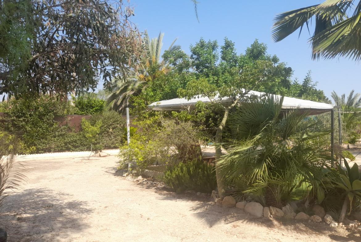 Country house with 3 bedrooms and 2 bathrooms in CREVILLENTE | Ref: SCH-5230