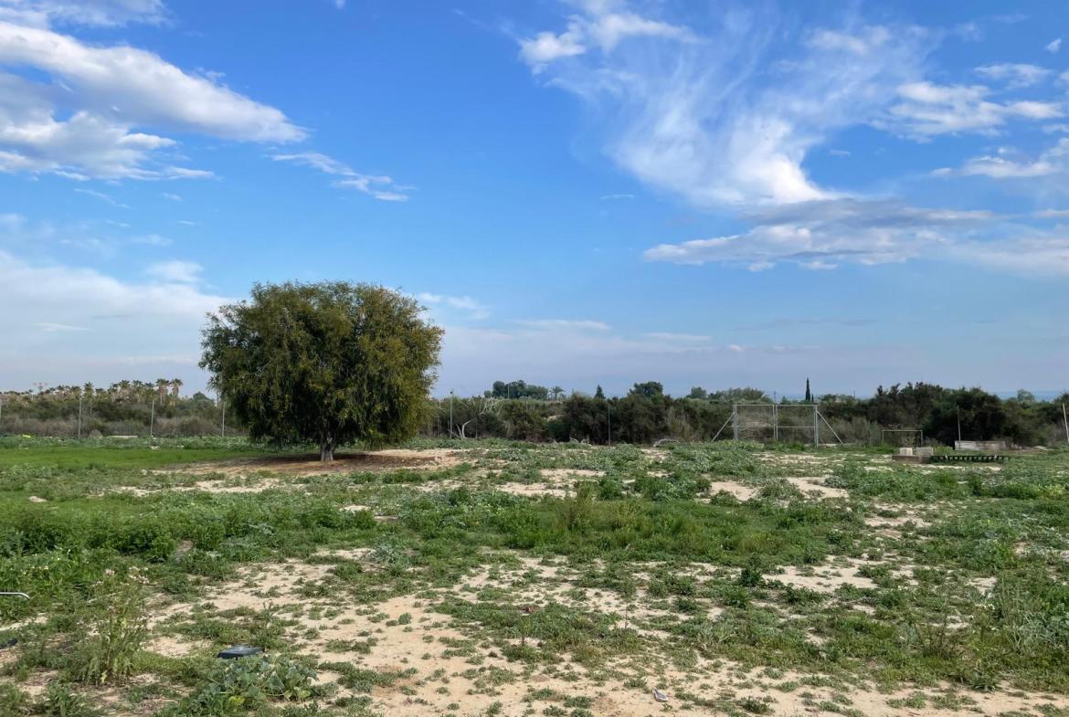 Country house with 3 bedrooms and 2 bathrooms in CREVILLENTE | Ref: SCH-5243
