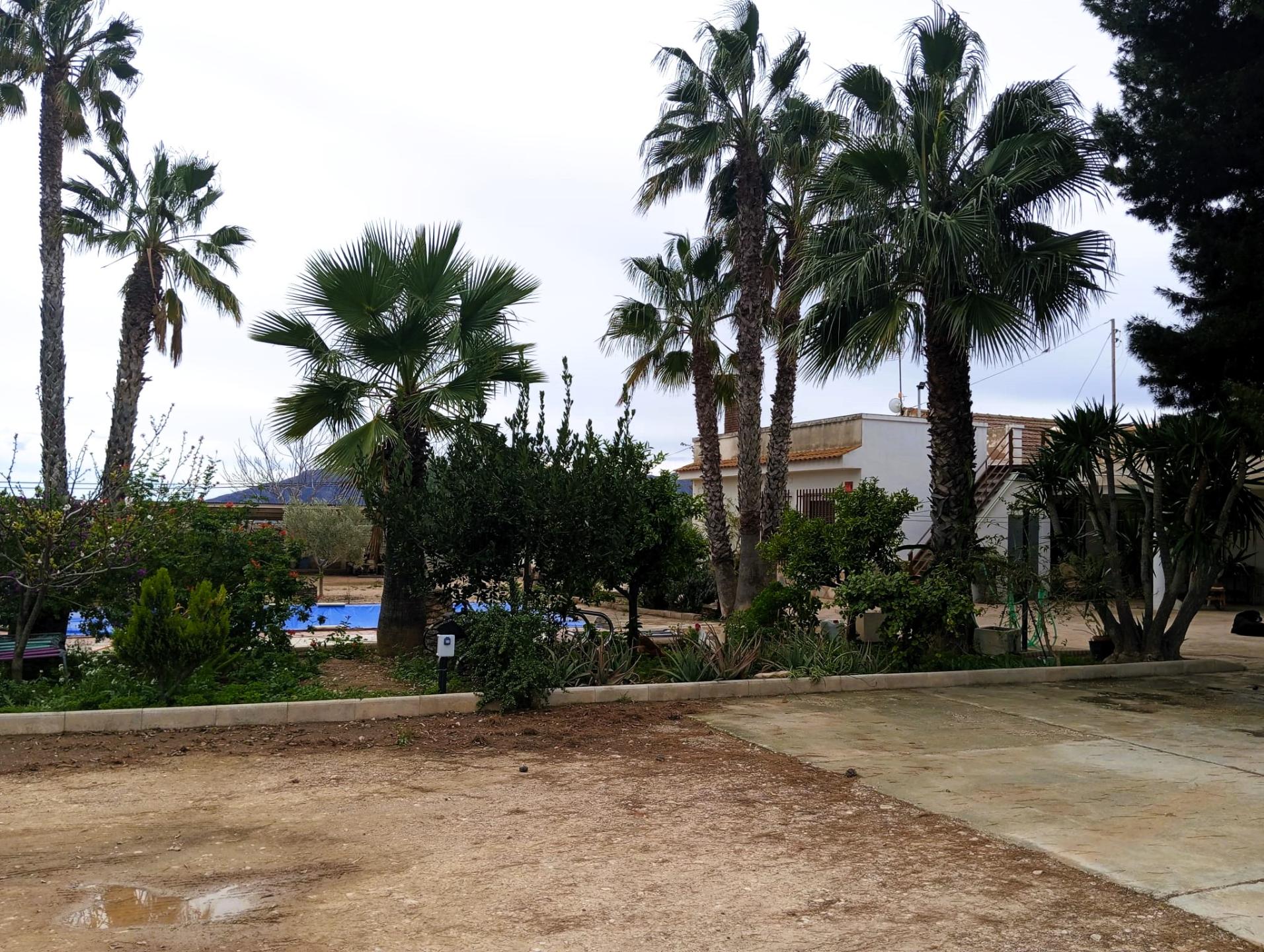 Country house with 3 bedrooms and 1 bathroom in LA MURADA | Ref: SCH-5244