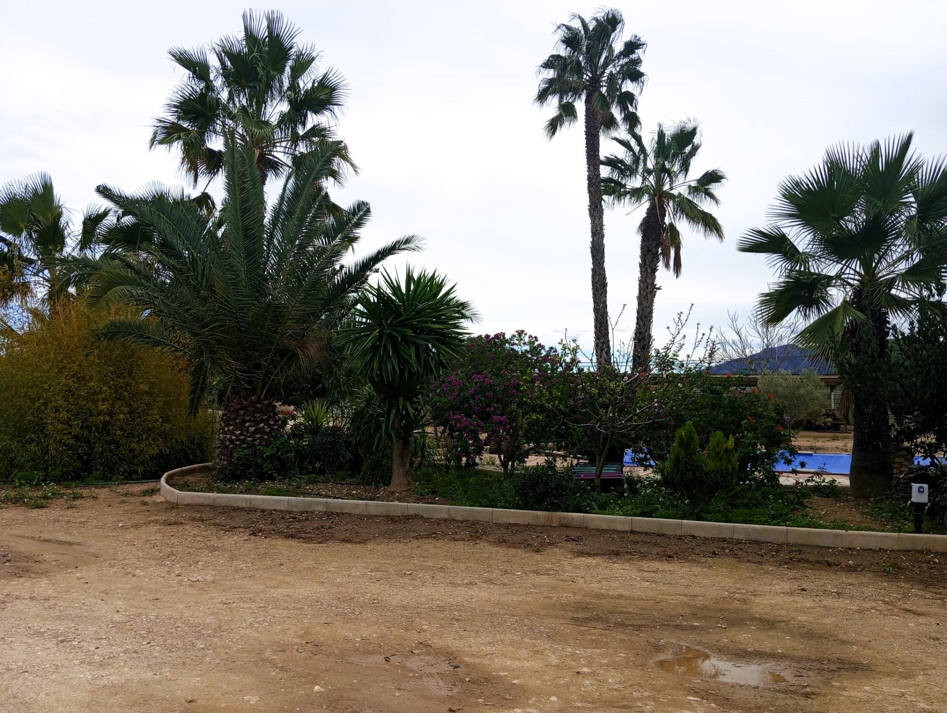 Country house with 3 bedrooms and 1 bathroom in LA MURADA | Ref: SCH-5244