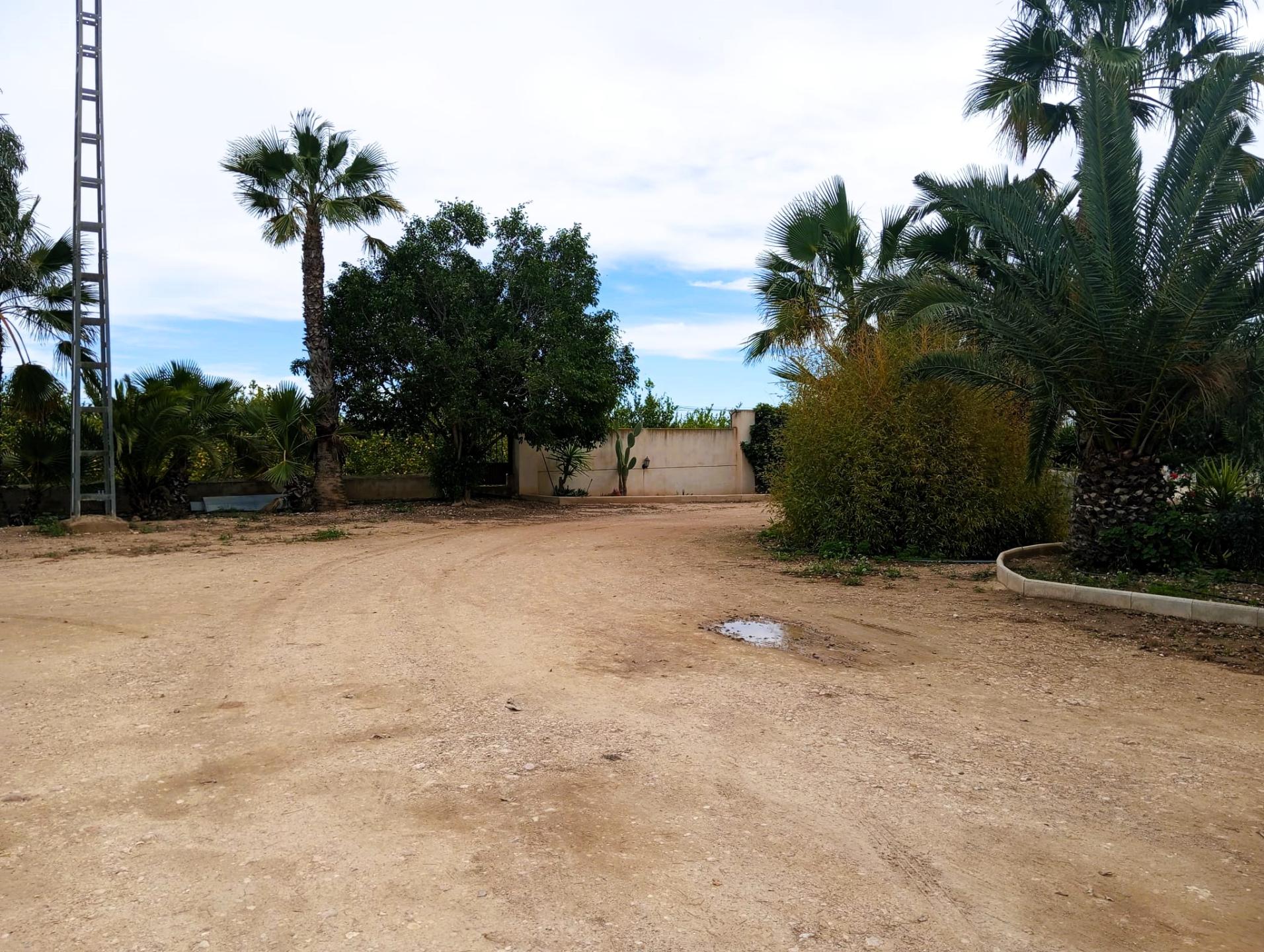 Country house with 3 bedrooms and 1 bathroom in LA MURADA | Ref: SCH-5244