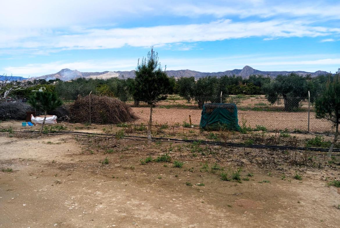 Country house with 3 bedrooms and 1 bathroom in LA MURADA | Ref: SCH-5244