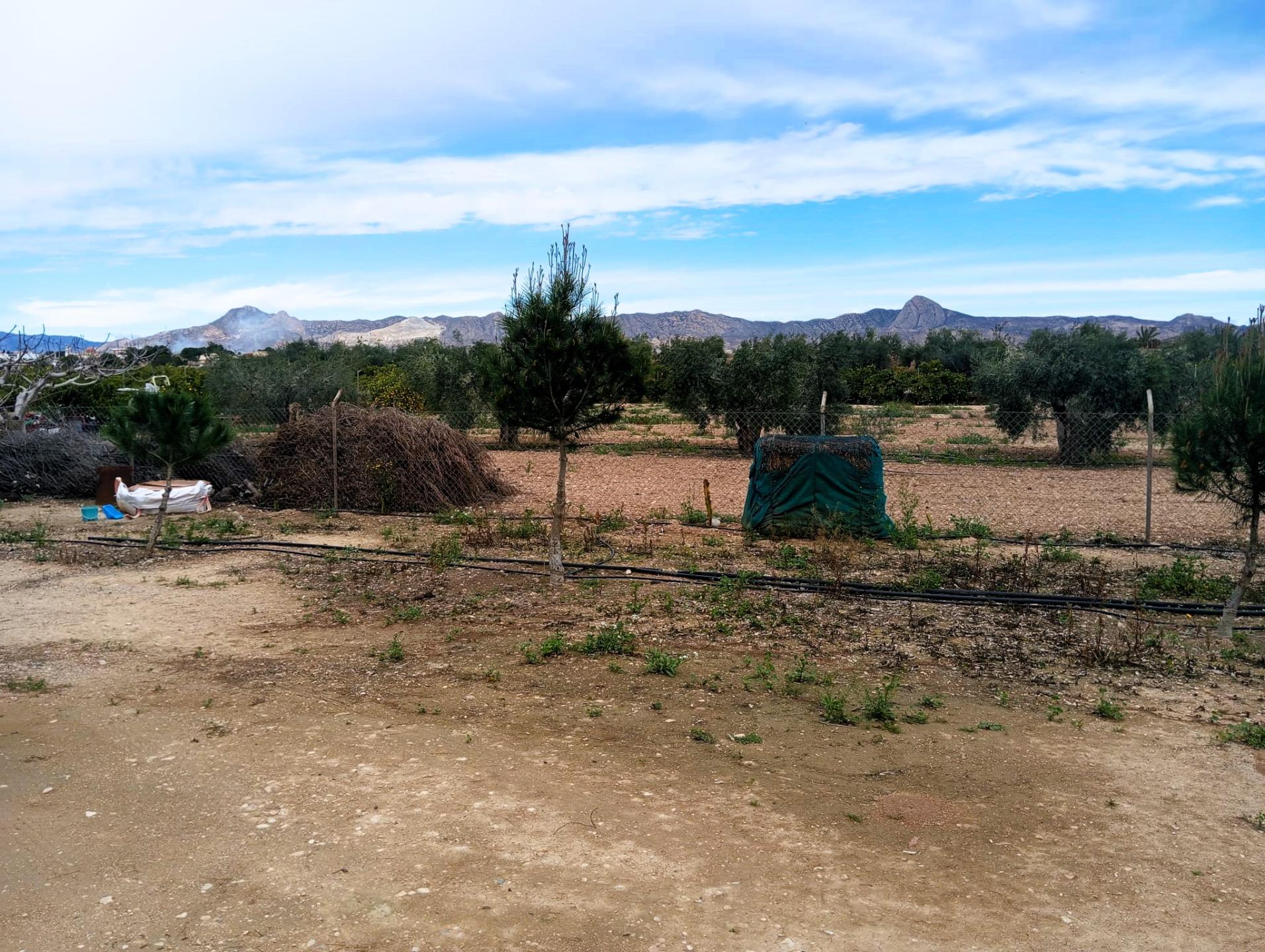 Country house with 3 bedrooms and 1 bathroom in LA MURADA | Ref: SCH-5244