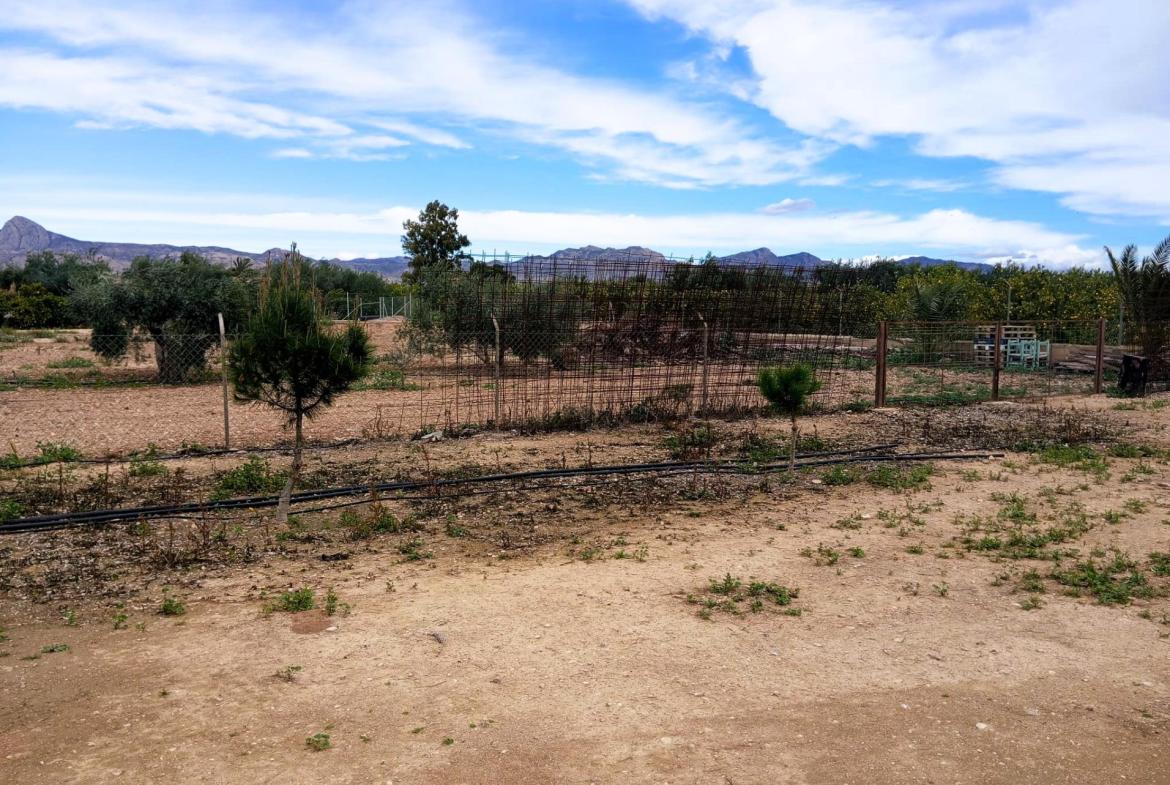 Country house with 3 bedrooms and 1 bathroom in LA MURADA | Ref: SCH-5244
