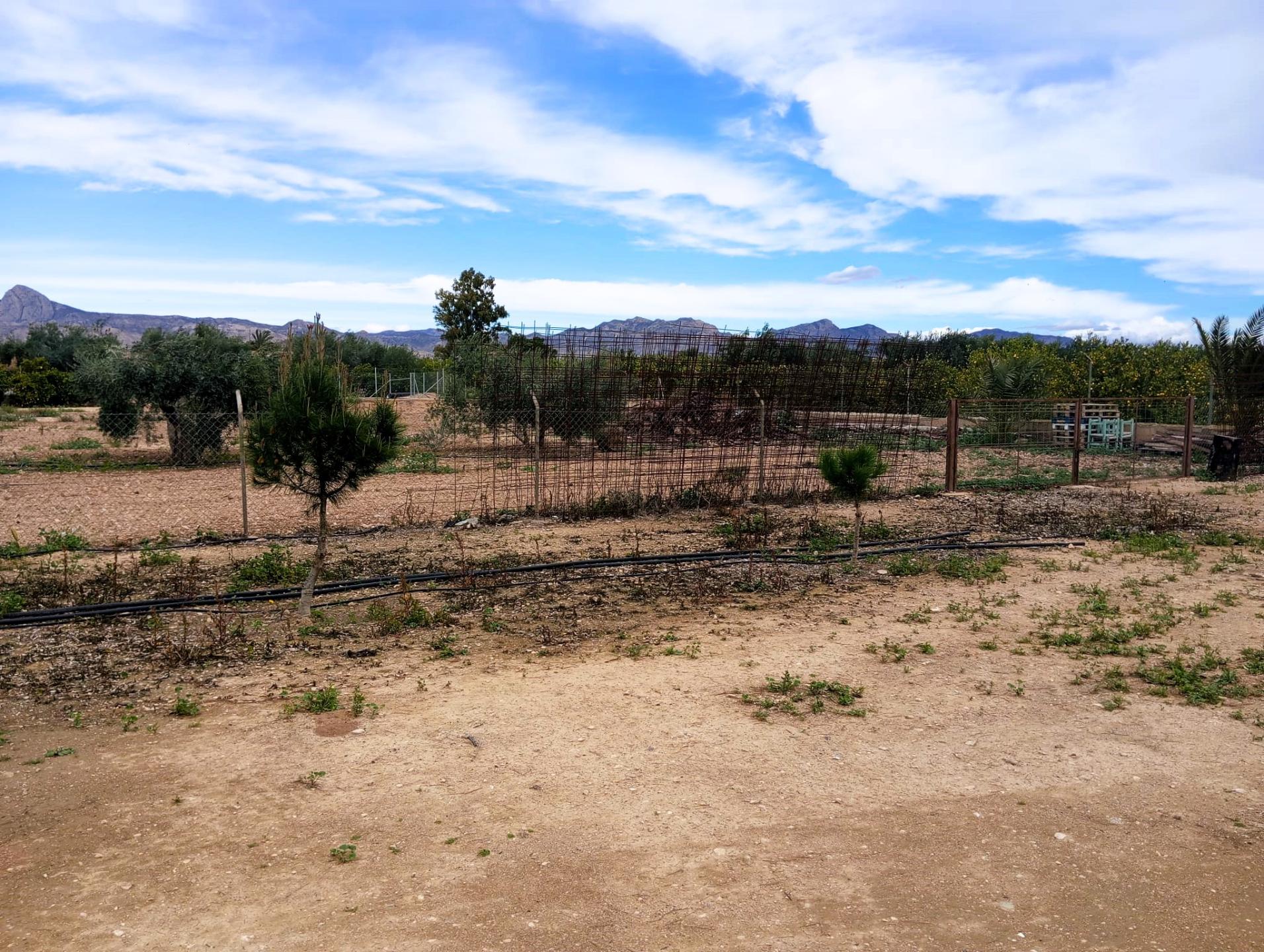 Country house with 3 bedrooms and 1 bathroom in LA MURADA | Ref: SCH-5244