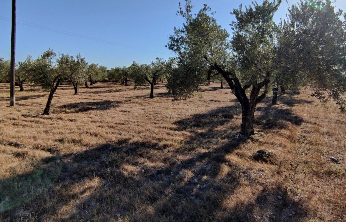 Country house with 4 bedrooms and 3 bathrooms in SAX | Ref: SCH-5269