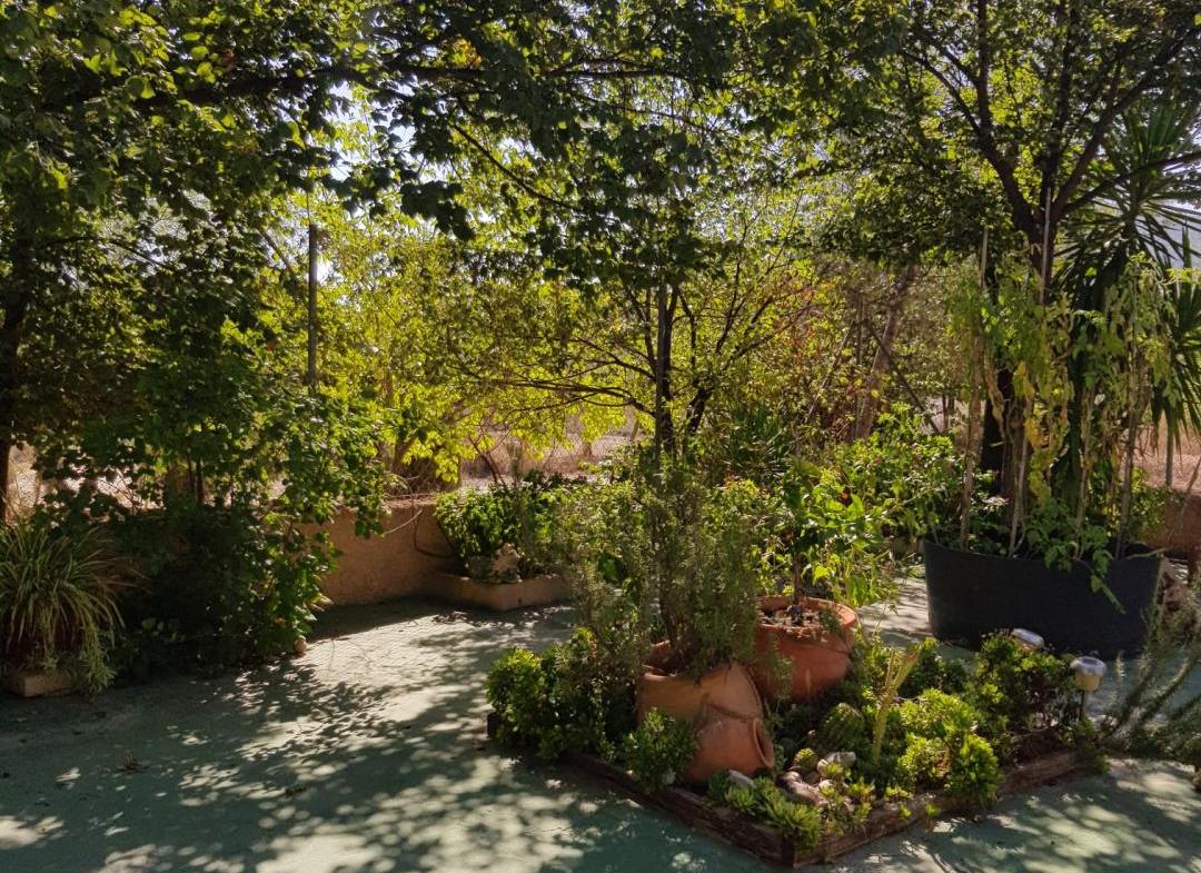 Country house with 5 bedrooms and 2 bathrooms in MONOVAR | Ref: SCH-5282