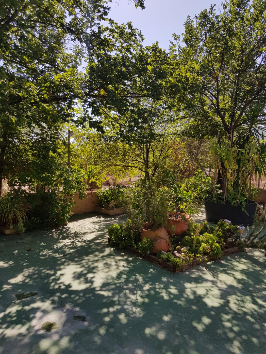 Country house with 5 bedrooms and 2 bathrooms in MONOVAR | Ref: SCH-5282