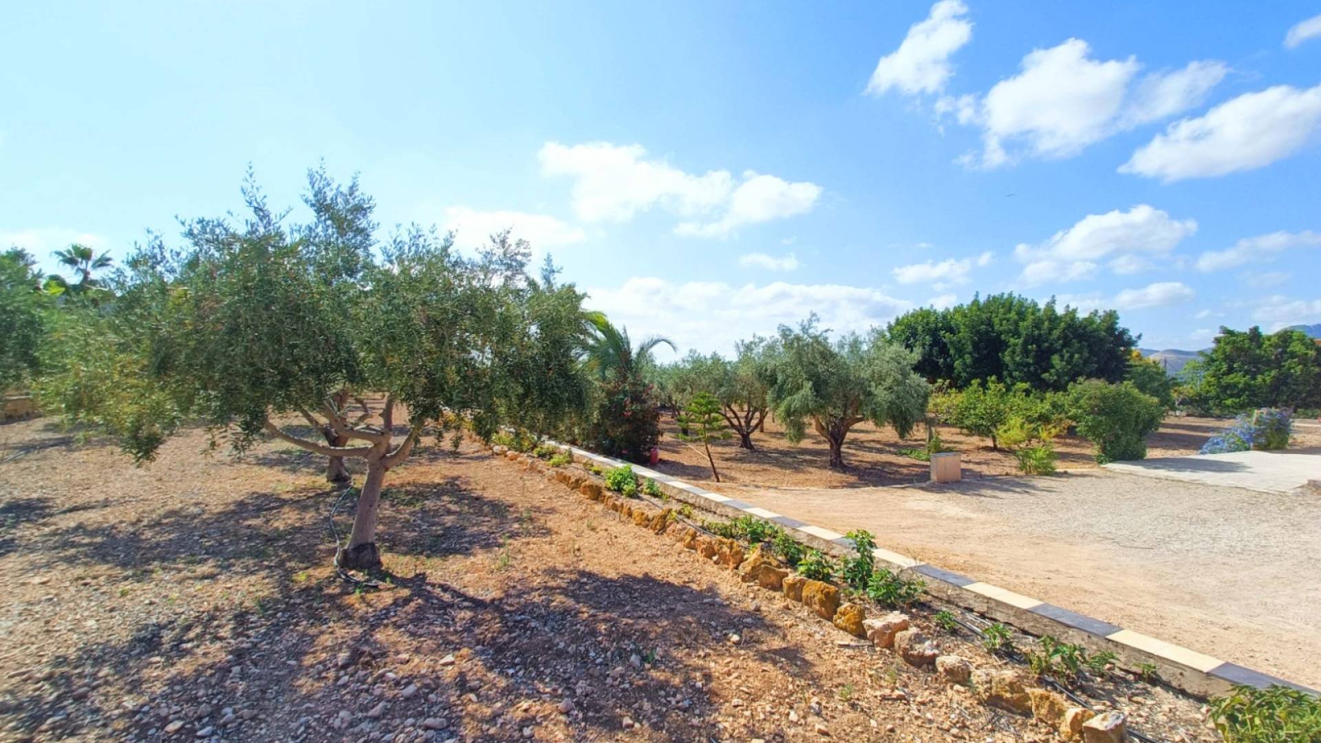 Country house with 4 bedrooms and 2 bathrooms in ASPE | Ref: SCH-5296