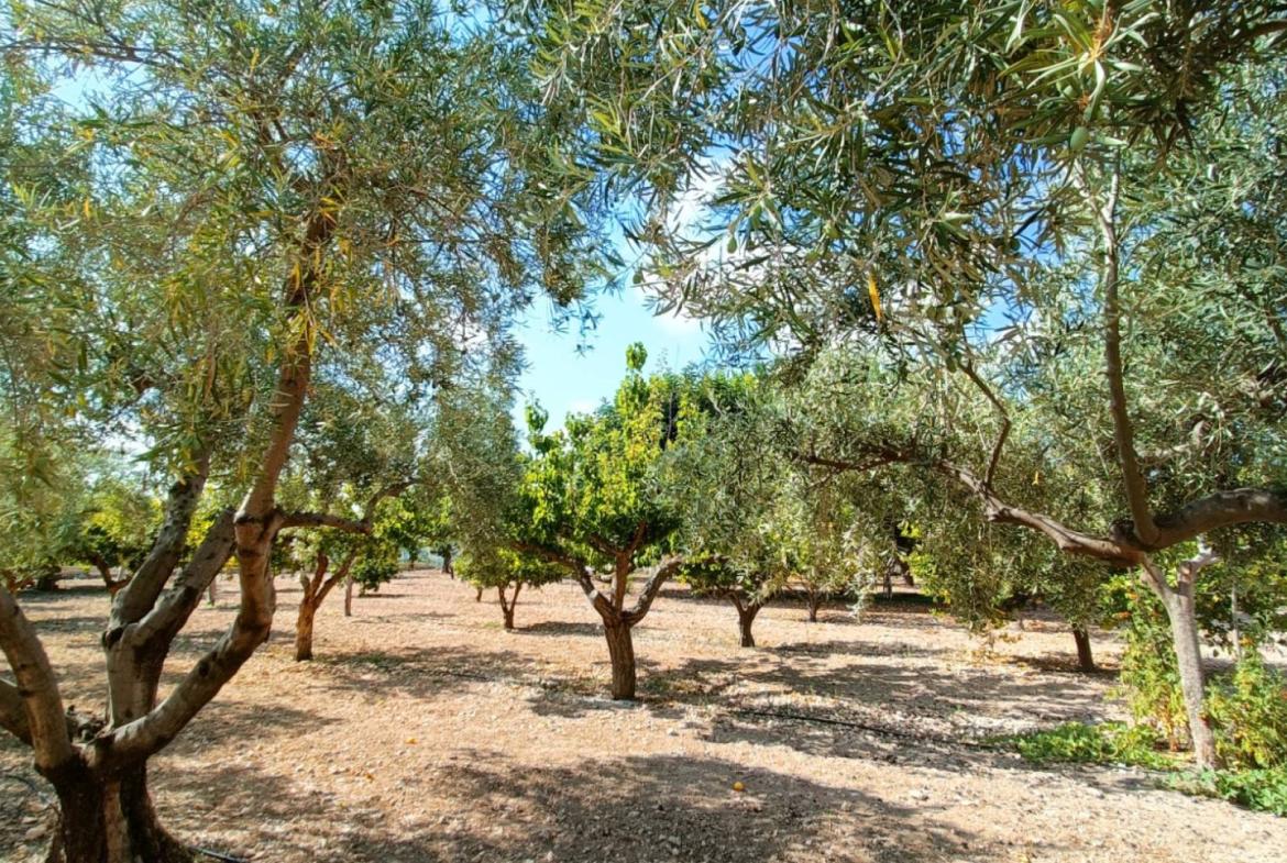 Country house with 4 bedrooms and 2 bathrooms in ASPE | Ref: SCH-5296