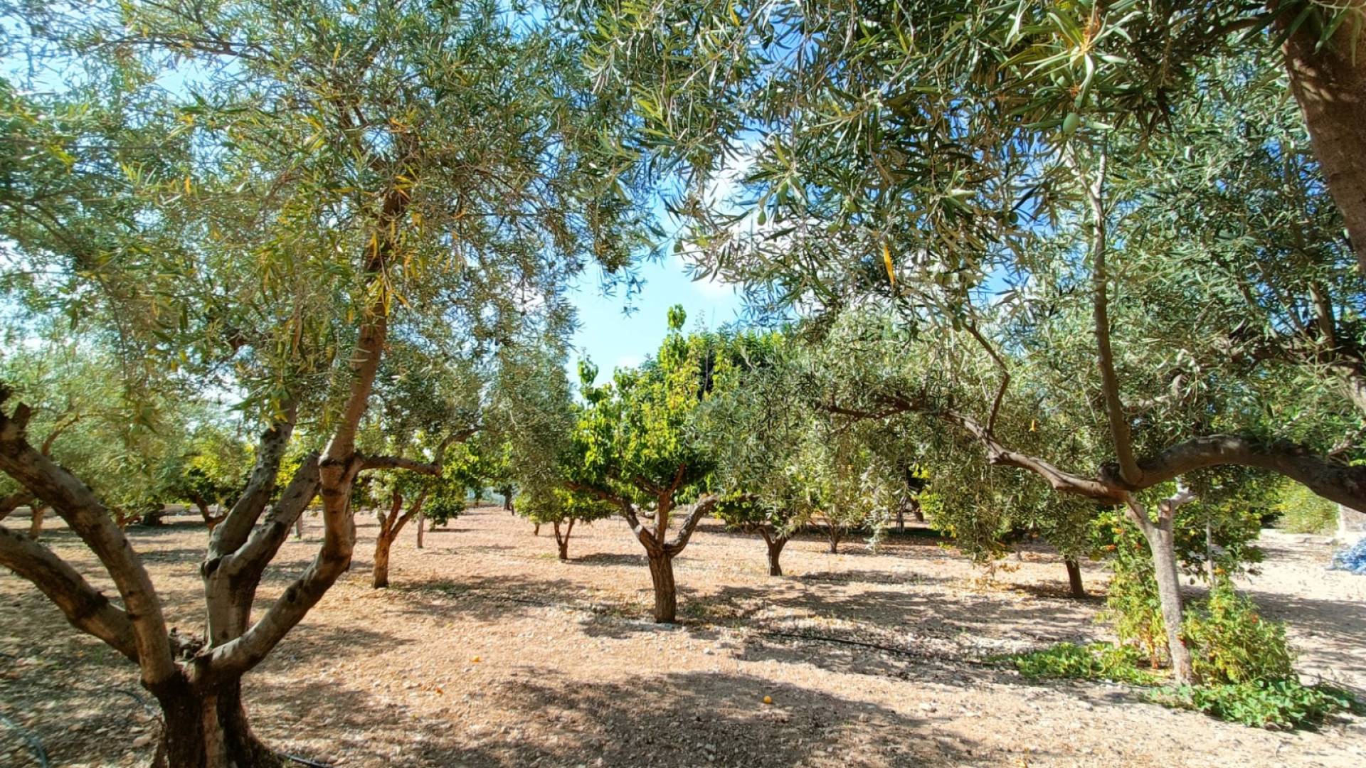 Country house with 4 bedrooms and 2 bathrooms in ASPE | Ref: SCH-5296