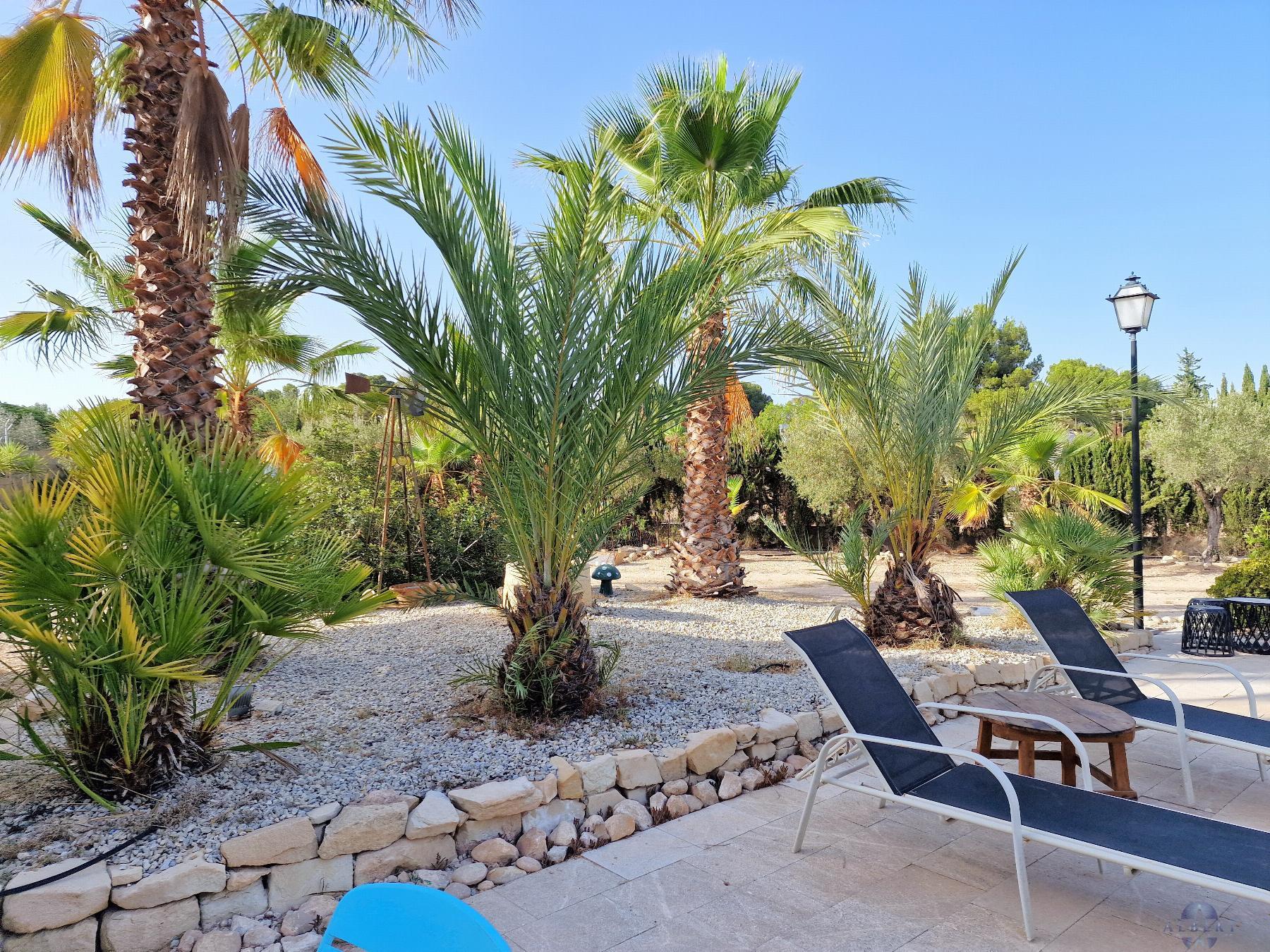 17612147516-6.jpg Country house with 5 bedrooms and 2 bathrooms in MONOVAR | Ref: SCH-5297