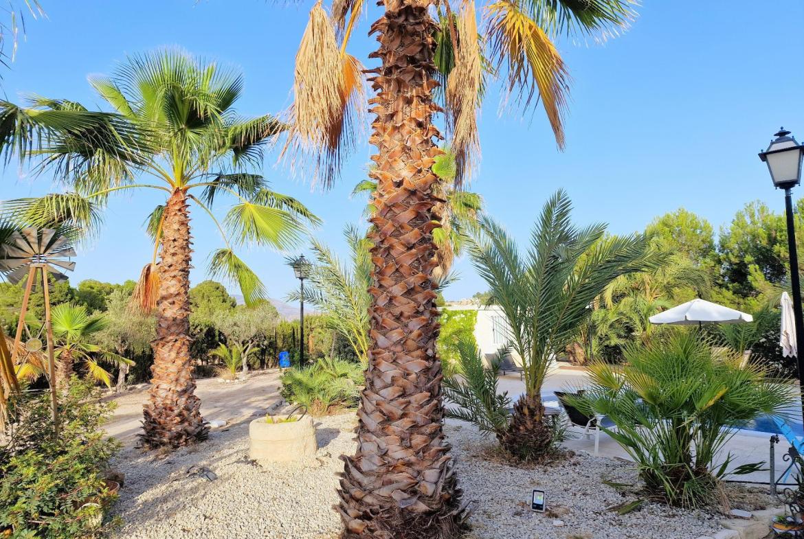 Country house with 5 bedrooms and 2 bathrooms in MONOVAR | Ref: SCH-5297