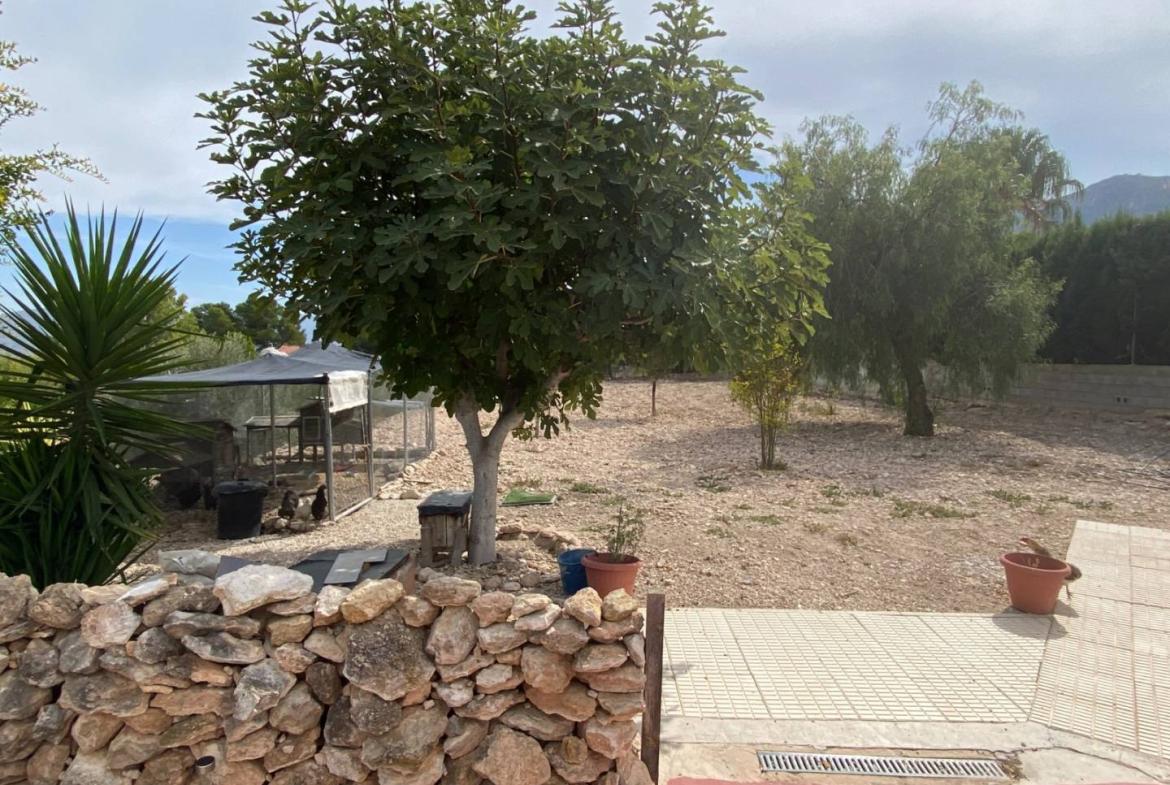 Country house with 5 bedrooms and 3 bathrooms in SAX | Ref: SCH-5319