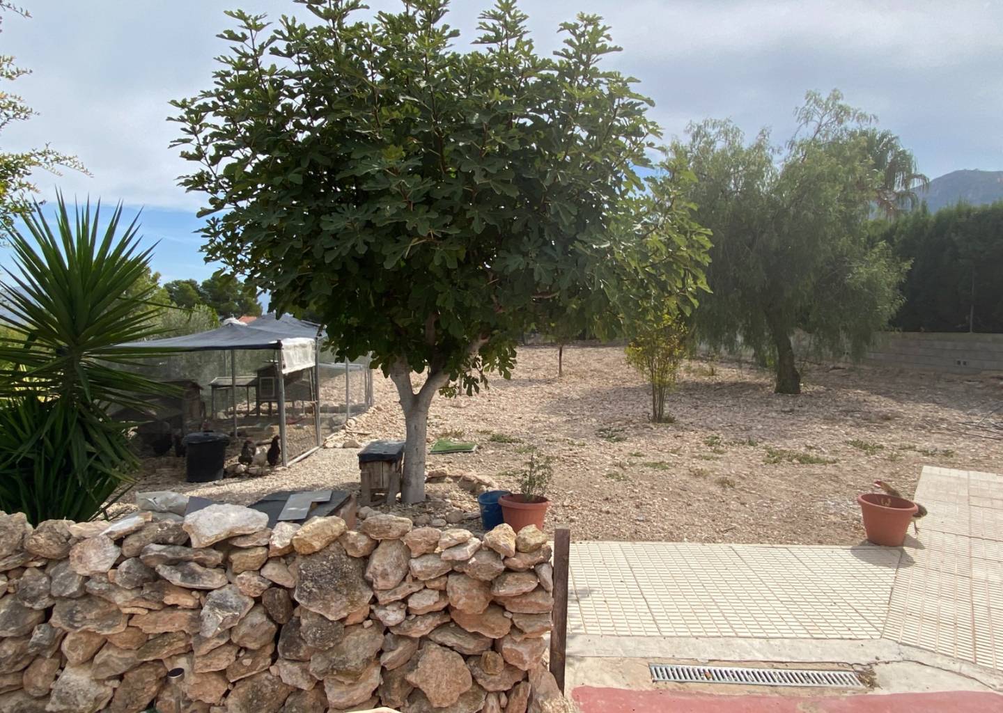 Country house with 5 bedrooms and 3 bathrooms in SAX | Ref: SCH-5319