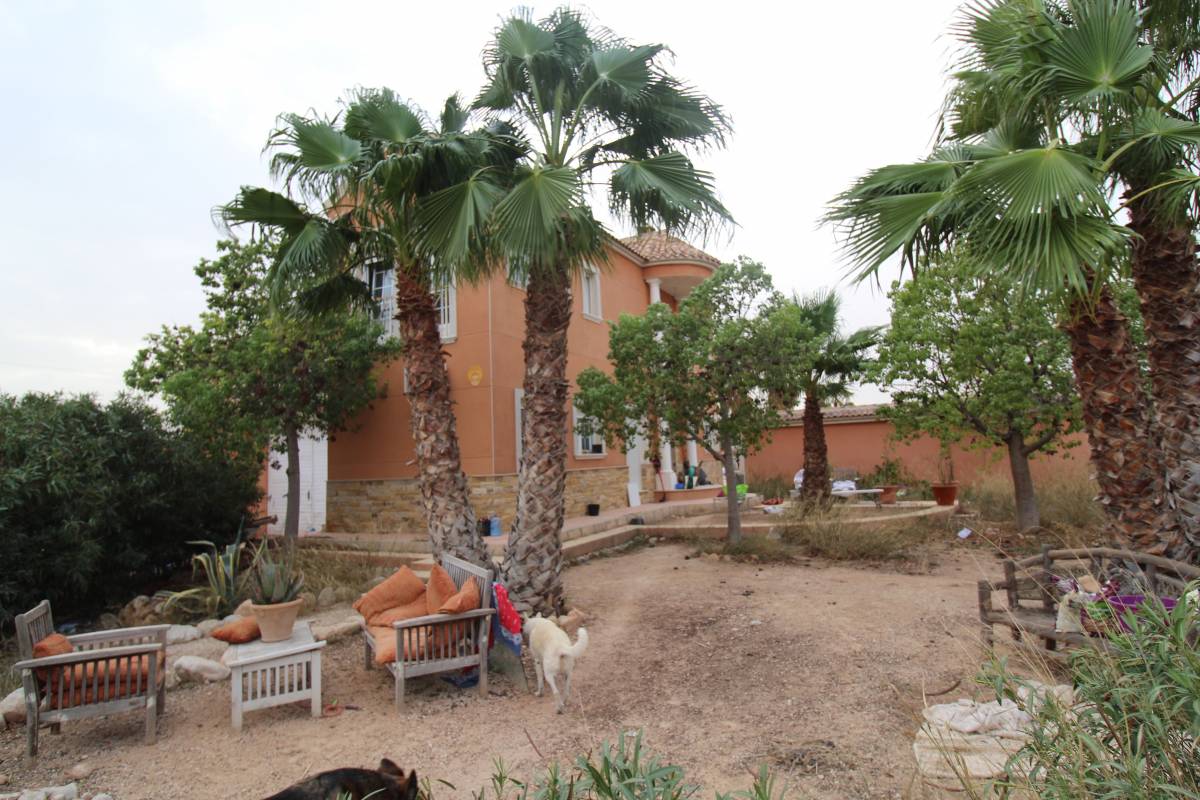 17682500243-4.jpg Country house with 6 bedrooms and 6 bathrooms in CREVILLENTE | Ref: SCH-5333