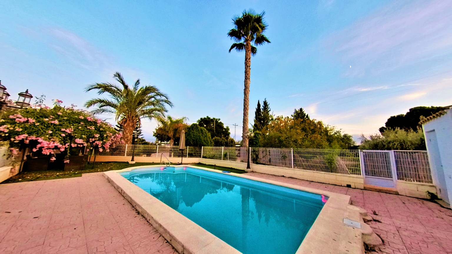 17702399180-1.jpg Country house with 3 bedrooms and 2 bathrooms in NOVELDA | Ref: SCH-5344