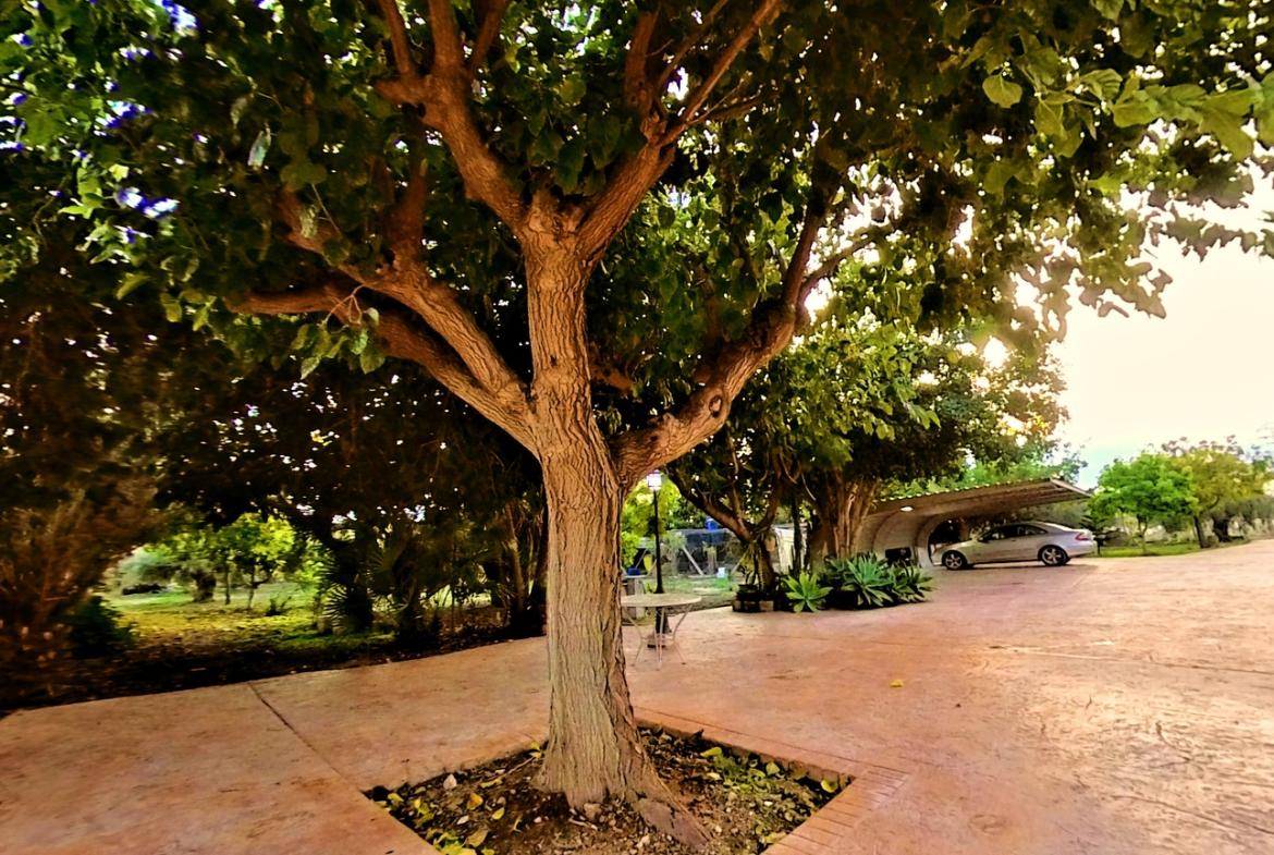 Country house with 3 bedrooms and 2 bathrooms in NOVELDA | Ref: SCH-5344