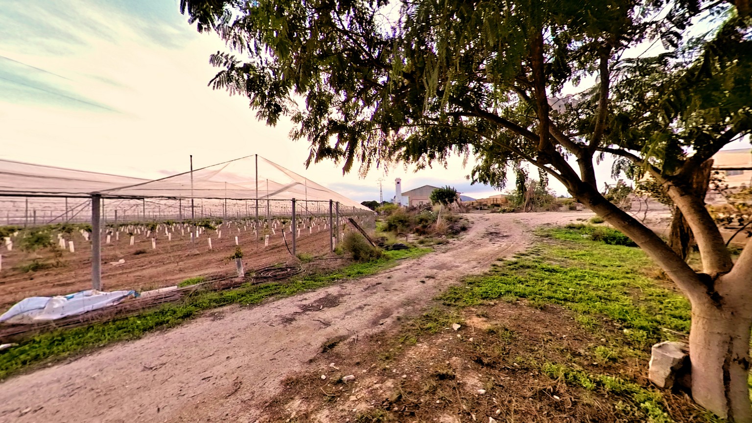 17702399189-10.jpg Country house with 3 bedrooms and 2 bathrooms in NOVELDA | Ref: SCH-5344
