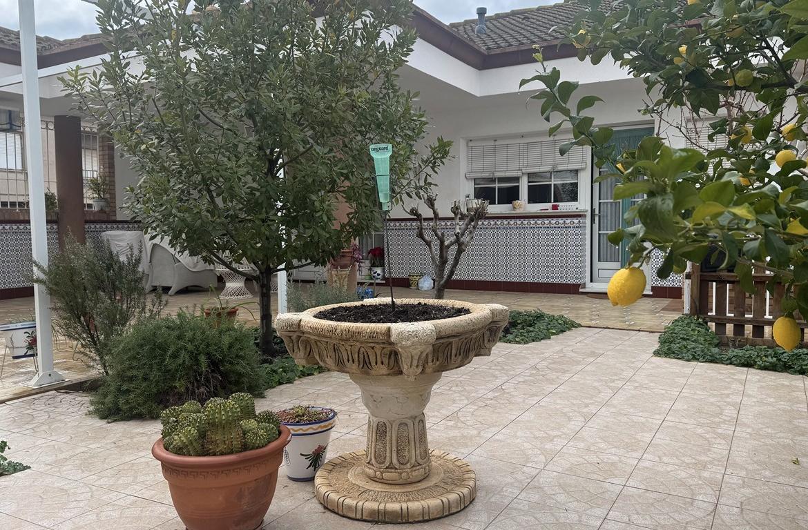 Villa with 6 bedrooms and 3 bathrooms in SAX | Ref: SCH-5346
